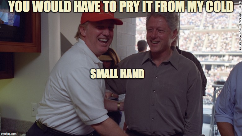 Pry It From My Cold, Dead Hands | YOU WOULD HAVE TO PRY IT FROM MY COLD; SMALL HAND | image tagged in trump and bill clinton,nra,cold dead hands,handjob,small hands | made w/ Imgflip meme maker