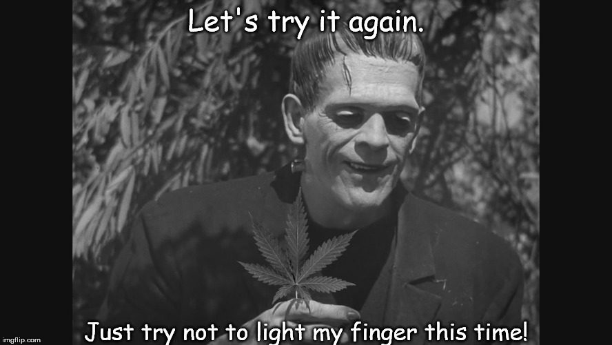 One More Time | Let's try it again. Just try not to light my finger this time! | image tagged in frankenpot | made w/ Imgflip meme maker