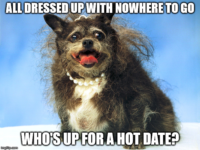 Ugly Dog |  ALL DRESSED UP WITH NOWHERE TO GO; WHO'S UP FOR A HOT DATE? | image tagged in ugly dog | made w/ Imgflip meme maker