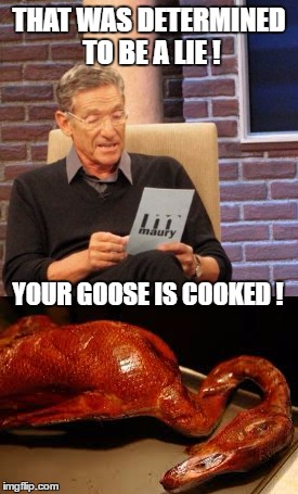 THAT WAS DETERMINED TO BE A LIE ! YOUR GOOSE IS COOKED ! | made w/ Imgflip meme maker