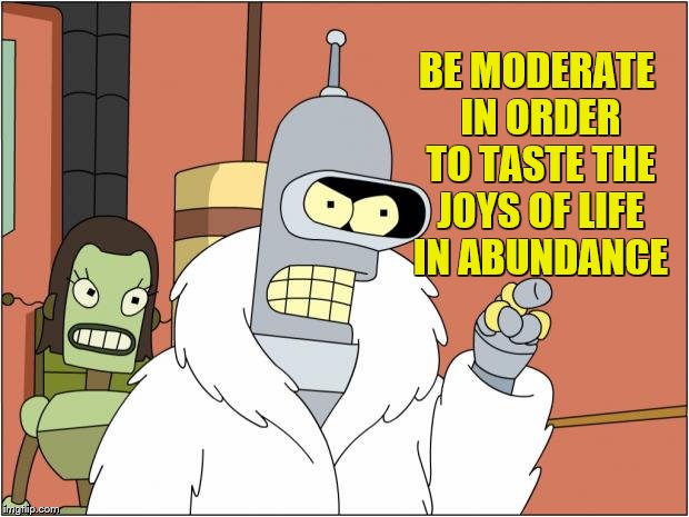 Bender Meme | BE MODERATE IN ORDER TO TASTE THE JOYS OF LIFE IN ABUNDANCE | image tagged in memes,bender | made w/ Imgflip meme maker