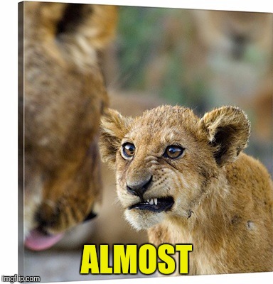 ALMOST | made w/ Imgflip meme maker