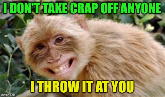 You better duck!!! | I DON'T TAKE CRAP OFF ANYONE; I THROW IT AT YOU | image tagged in memes,monkey,funny | made w/ Imgflip meme maker