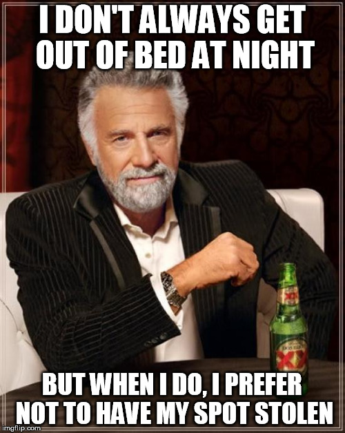 The Most Interesting Man In The World Meme | I DON'T ALWAYS GET OUT OF BED AT NIGHT; BUT WHEN I DO, I PREFER NOT TO HAVE MY SPOT STOLEN | image tagged in memes,the most interesting man in the world | made w/ Imgflip meme maker