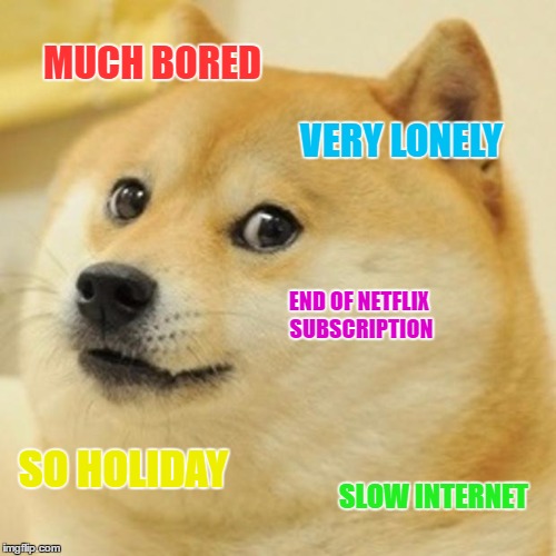 Doge Meme | MUCH BORED; VERY LONELY; END OF NETFLIX SUBSCRIPTION; SO HOLIDAY; SLOW INTERNET | image tagged in memes,doge | made w/ Imgflip meme maker