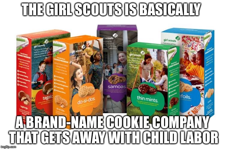 You know it's true | THE GIRL SCOUTS IS BASICALLY; A BRAND-NAME COOKIE COMPANY THAT GETS AWAY WITH CHILD LABOR | image tagged in girl scout cookies | made w/ Imgflip meme maker