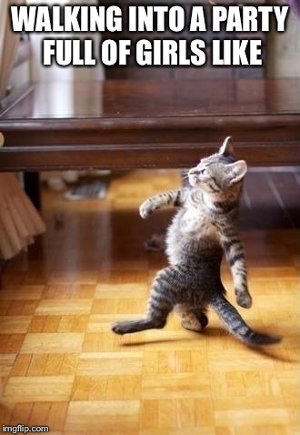 Cool Cat Stroll | WALKING INTO A PARTY FULL OF GIRLS LIKE | image tagged in memes,cool cat stroll | made w/ Imgflip meme maker
