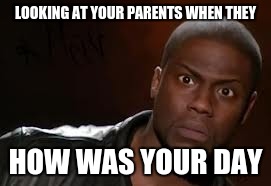 Kevin Hart | LOOKING AT YOUR PARENTS WHEN THEY; HOW WAS YOUR DAY | image tagged in memes,kevin hart the hell | made w/ Imgflip meme maker