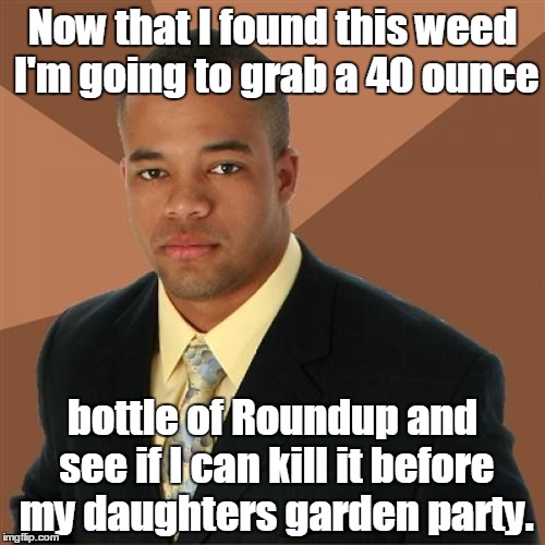 Successful Black Man Meme | Now that I found this weed I'm going to grab a 40 ounce; bottle of Roundup and see if I can kill it before my daughters garden party. | image tagged in memes,successful black man | made w/ Imgflip meme maker