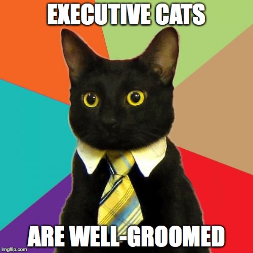 Business Cat Meme | EXECUTIVE CATS; ARE WELL-GROOMED | image tagged in memes,business cat | made w/ Imgflip meme maker
