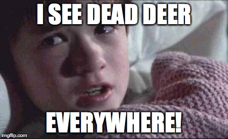 I See Dead People | I SEE DEAD DEER; EVERYWHERE! | image tagged in memes,i see dead people | made w/ Imgflip meme maker
