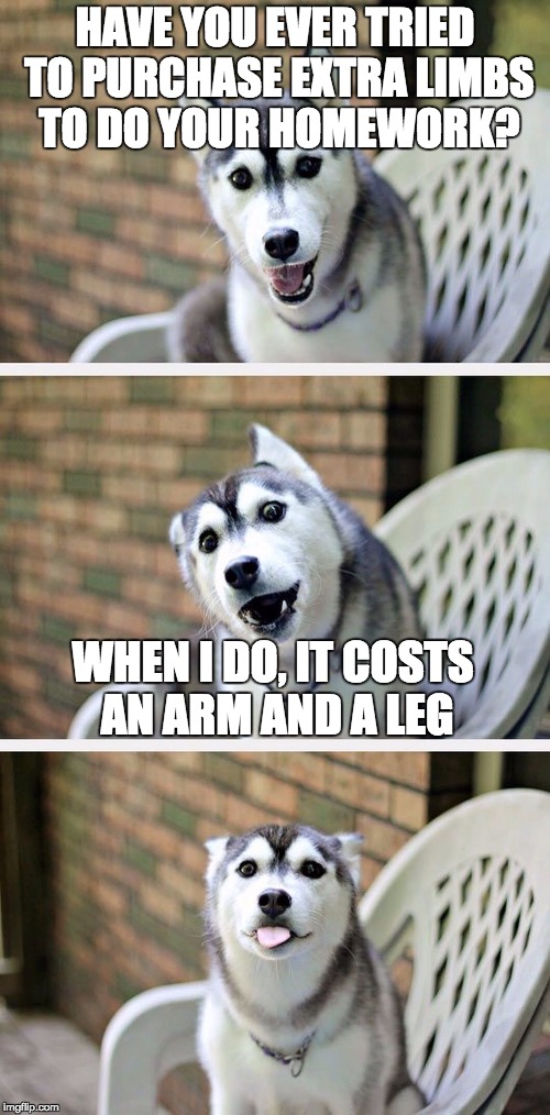Bad Pun Dog 2 | HAVE YOU EVER TRIED TO PURCHASE EXTRA LIMBS TO DO YOUR HOMEWORK? WHEN I DO, IT COSTS AN ARM AND A LEG | image tagged in bad pun dog 2 | made w/ Imgflip meme maker