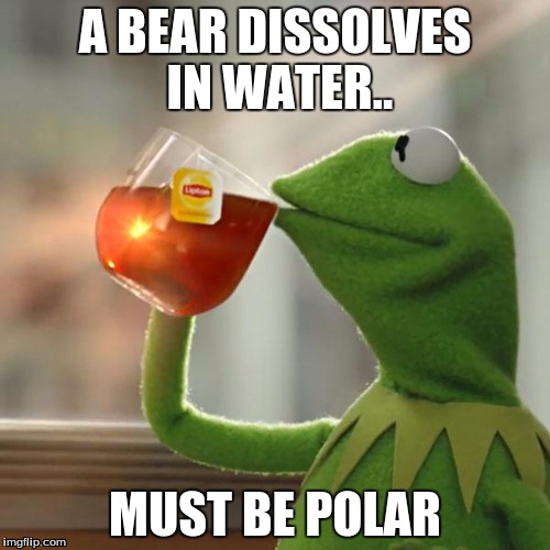 But That's None Of My Business | A BEAR DISSOLVES IN WATER.. MUST BE POLAR | image tagged in memes,but thats none of my business,kermit the frog | made w/ Imgflip meme maker
