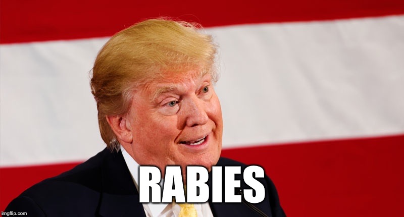 RABIES | image tagged in trump rabies | made w/ Imgflip meme maker