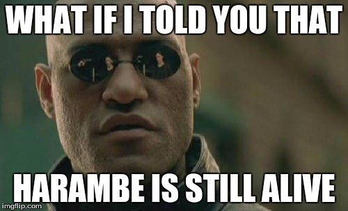 Matrix Morpheus Meme | WHAT IF I TOLD YOU THAT; HARAMBE IS STILL ALIVE | image tagged in memes,matrix morpheus | made w/ Imgflip meme maker