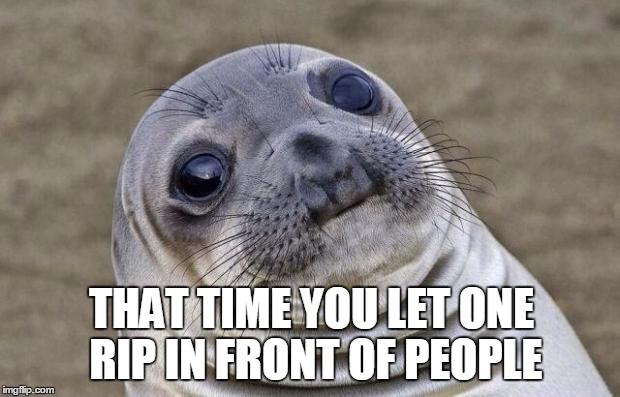 Awkward Moment Sealion Meme | THAT TIME YOU LET ONE RIP IN FRONT OF PEOPLE | image tagged in memes,awkward moment sealion | made w/ Imgflip meme maker