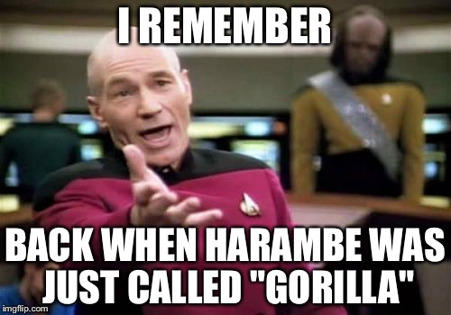 Seriosly though, how has that meme lasted this long? | I REMEMBER; BACK WHEN HARAMBE WAS JUST CALLED "GORILLA" | image tagged in memes,picard wtf,harambe,gorilla | made w/ Imgflip meme maker