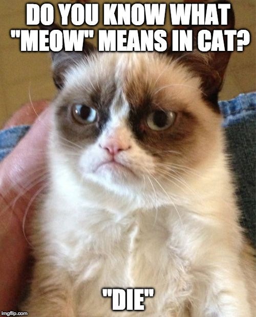 Grumpy Cat Bilingual Lesson of the Day | DO YOU KNOW WHAT "MEOW" MEANS IN CAT? "DIE" | image tagged in memes,grumpy cat,die,iwanttobebacon,meow | made w/ Imgflip meme maker