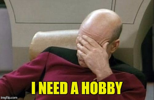 Captain Picard Facepalm | I NEED A HOBBY | image tagged in memes,captain picard facepalm | made w/ Imgflip meme maker