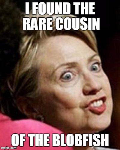 Hillary Clinton Fish | I FOUND THE RARE COUSIN; OF THE BLOBFISH | image tagged in hillary clinton fish | made w/ Imgflip meme maker