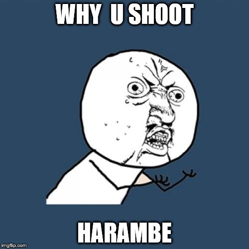 Y U No | WHY  U SHOOT; HARAMBE | image tagged in memes,y u no | made w/ Imgflip meme maker