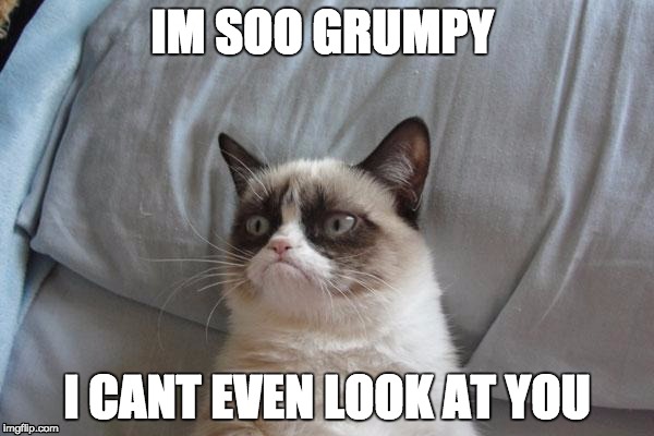 Grumpy Cat Bed | IM SOO GRUMPY; I CANT EVEN LOOK AT YOU | image tagged in memes,grumpy cat bed,grumpy cat | made w/ Imgflip meme maker
