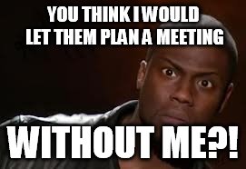 Kevin Hart | YOU THINK I WOULD LET THEM PLAN A MEETING; WITHOUT ME?! | image tagged in memes,kevin hart the hell | made w/ Imgflip meme maker