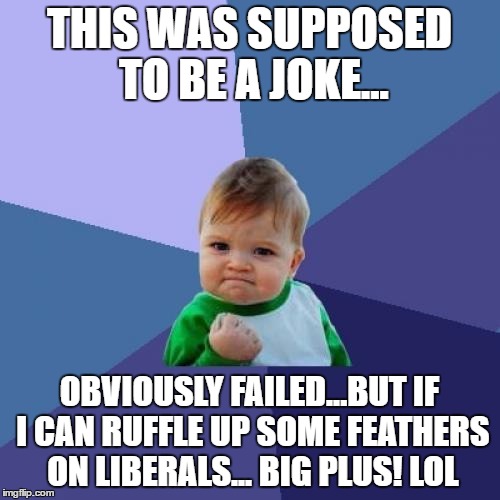 Success Kid Meme | THIS WAS SUPPOSED TO BE A JOKE... OBVIOUSLY FAILED...BUT IF I CAN RUFFLE UP SOME FEATHERS ON LIBERALS... BIG PLUS! LOL | image tagged in memes,success kid | made w/ Imgflip meme maker
