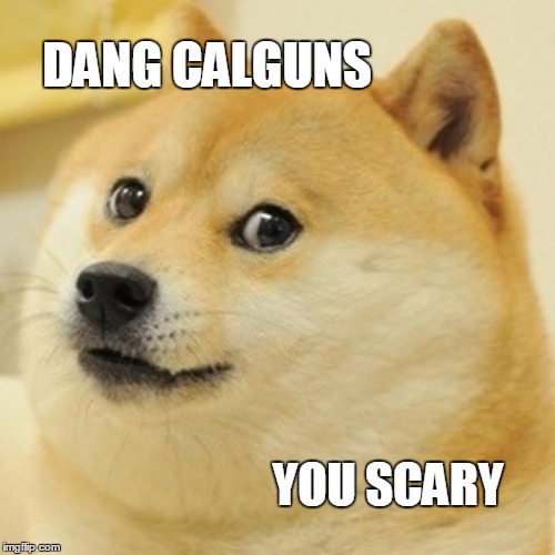 Doge Meme | DANG CALGUNS; YOU SCARY | image tagged in memes,doge | made w/ Imgflip meme maker