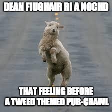 dancing sheep | DEAN FIUGHAIR RI A NOCHD; THAT FEELING BEFORE A TWEED THEMED PUB-CRAWL | image tagged in dancing sheep | made w/ Imgflip meme maker