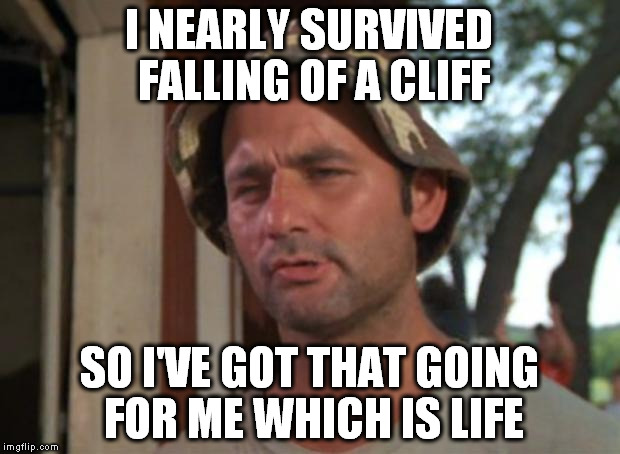 He survived........ | I NEARLY SURVIVED FALLING OF A CLIFF; SO I'VE GOT THAT GOING FOR ME WHICH IS LIFE | image tagged in memes,so i got that goin for me which is nice | made w/ Imgflip meme maker