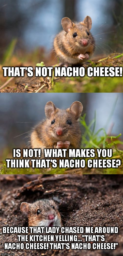 THAT'S NOT NACHO CHEESE! IS NOT!  WHAT MAKES YOU THINK THAT'S NACHO CHEESE? BECAUSE THAT LADY CHASED ME AROUND THE KITCHEN YELLING..."THAT'S NACHO CHEESE! THAT'S NACHO CHEESE!" | image tagged in bad pun mouse | made w/ Imgflip meme maker