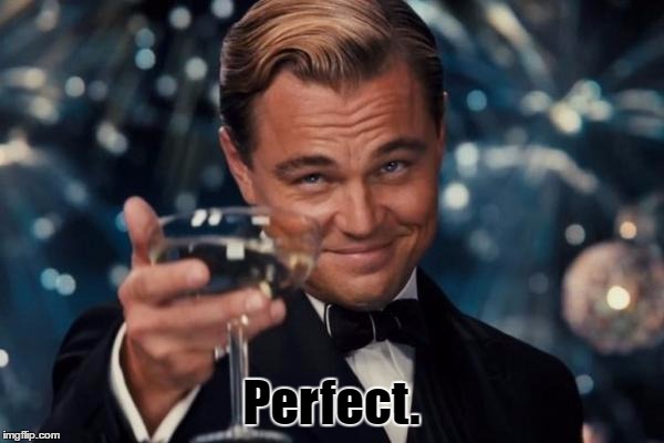 Leonardo Dicaprio Cheers Meme | Perfect. | image tagged in memes,leonardo dicaprio cheers | made w/ Imgflip meme maker