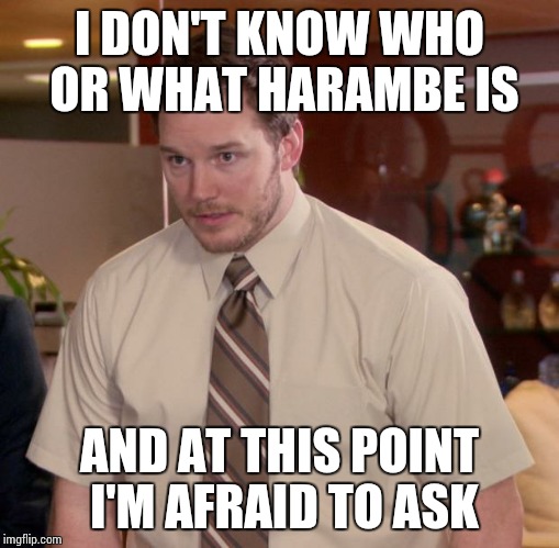 Afraid To Ask Andy | I DON'T KNOW WHO OR WHAT HARAMBE IS; AND AT THIS POINT I'M AFRAID TO ASK | image tagged in memes,afraid to ask andy | made w/ Imgflip meme maker