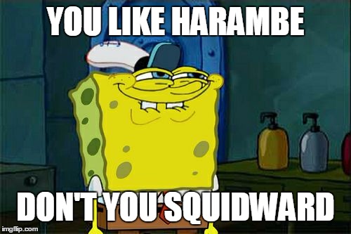 Don't You Squidward Meme | YOU LIKE HARAMBE DON'T YOU SQUIDWARD | image tagged in memes,dont you squidward | made w/ Imgflip meme maker