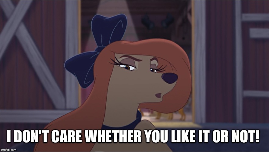 I Don't Care Whether You Like It Or Not! | I DON'T CARE WHETHER YOU LIKE IT OR NOT! | image tagged in dixie tough,memes,disney,the fox and the hound 2,reba mcentire,dog | made w/ Imgflip meme maker