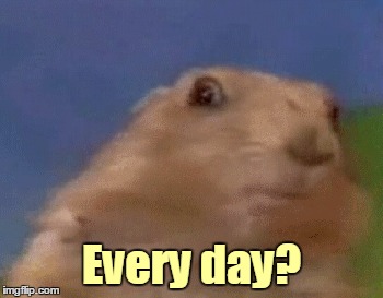 Every day? | made w/ Imgflip meme maker
