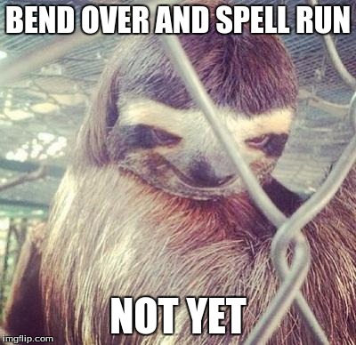 Rape Sloth | BEND OVER AND SPELL RUN; NOT YET | image tagged in rape sloth | made w/ Imgflip meme maker