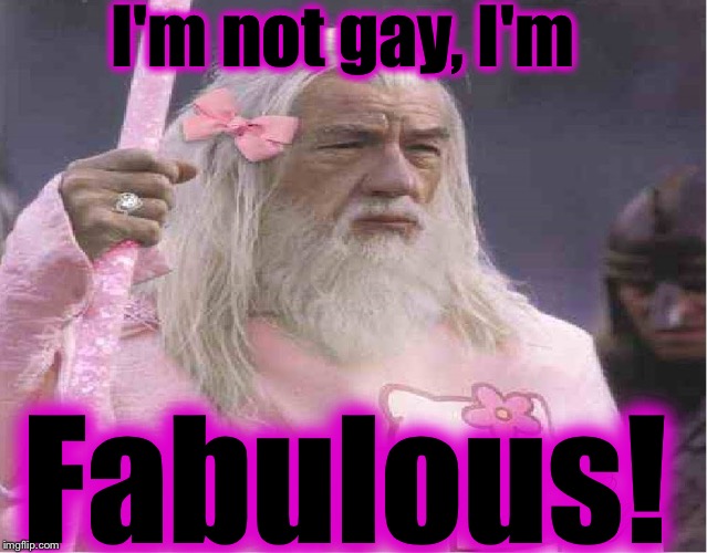 Gandalf the Fabulous  | I'm not gay, I'm Fabulous! | image tagged in gandalf the fabulous | made w/ Imgflip meme maker