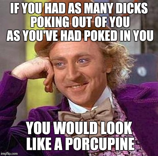 Creepy Condescending Wonka | IF YOU HAD AS MANY DICKS POKING OUT OF YOU AS YOU'VE HAD POKED IN YOU; YOU WOULD LOOK LIKE A PORCUPINE | image tagged in memes,creepy condescending wonka,slut,porcupine | made w/ Imgflip meme maker