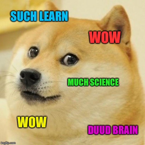 Doge | SUCH LEARN; WOW; MUCH SCIENCE; WOW; DUUD BRAIN | image tagged in memes,doge | made w/ Imgflip meme maker