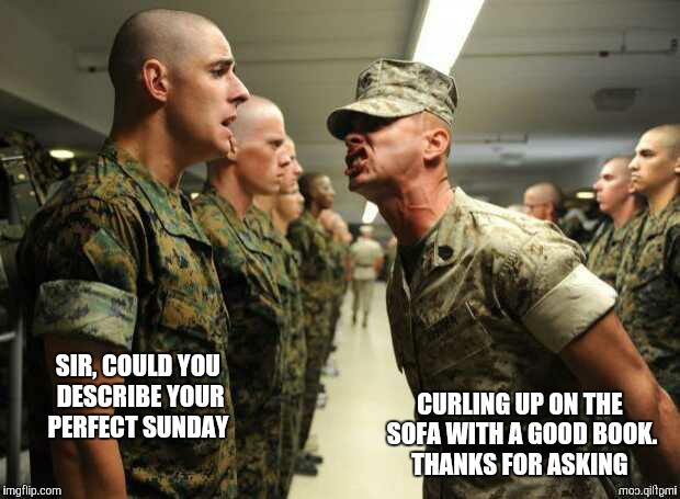 I'm guessing this is what is being said | CURLING UP ON THE SOFA WITH A GOOD BOOK. THANKS FOR ASKING; SIR, COULD YOU DESCRIBE YOUR PERFECT SUNDAY | image tagged in drill sergeant,memes | made w/ Imgflip meme maker