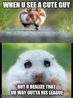 WHEN U SEE A CUTE GUY; BUT U REALIZE THAT UR WAY OUTTA HIS LEAGUE | image tagged in funny,hamster | made w/ Imgflip meme maker