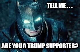 TELL ME . . . ARE YOU A TRUMP SUPPORTER? | image tagged in batmeme | made w/ Imgflip meme maker