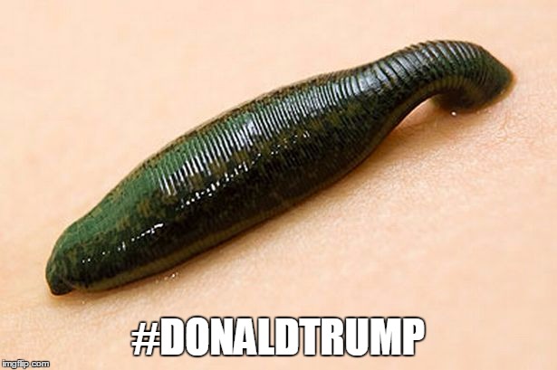 Discussion: Harry Reid Coins New Nickname For Trump: 'Human Leech ...