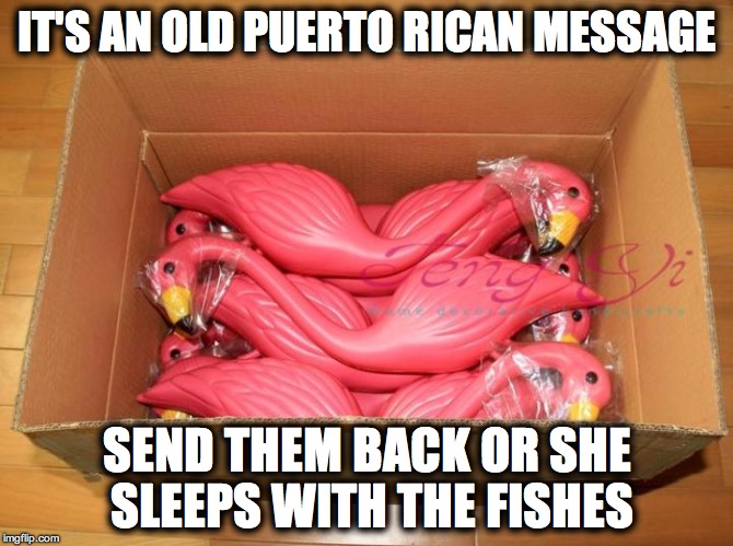 Plastic Flamingos | IT'S AN OLD PUERTO RICAN MESSAGE; SEND THEM BACK OR SHE SLEEPS WITH THE FISHES | image tagged in plastic flamingos | made w/ Imgflip meme maker