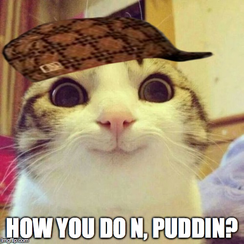 Smiling Cat Meme | HOW YOU DO N, PUDDIN? | image tagged in memes,smiling cat,scumbag | made w/ Imgflip meme maker