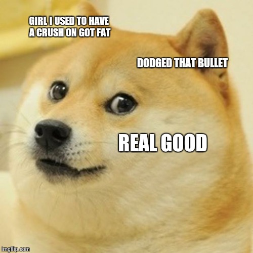 Doge | GIRL I USED TO HAVE A CRUSH ON GOT FAT; DODGED THAT BULLET; REAL GOOD | image tagged in memes,doge | made w/ Imgflip meme maker