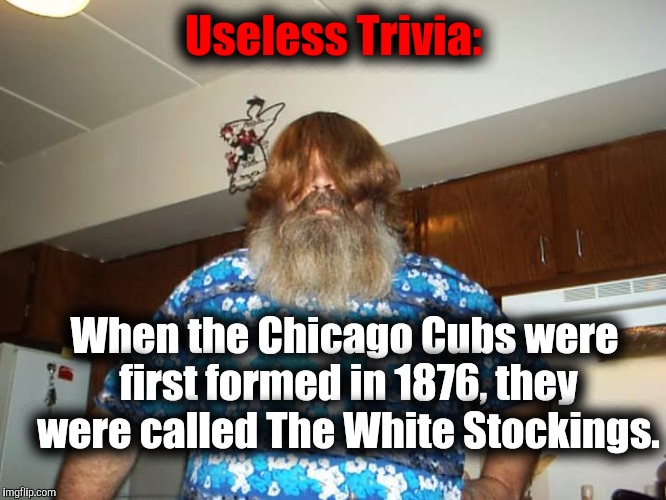 Swiggy Itt | Useless Trivia: When the Chicago Cubs were first formed in 1876, they were called The White Stockings. | image tagged in swiggy itt | made w/ Imgflip meme maker