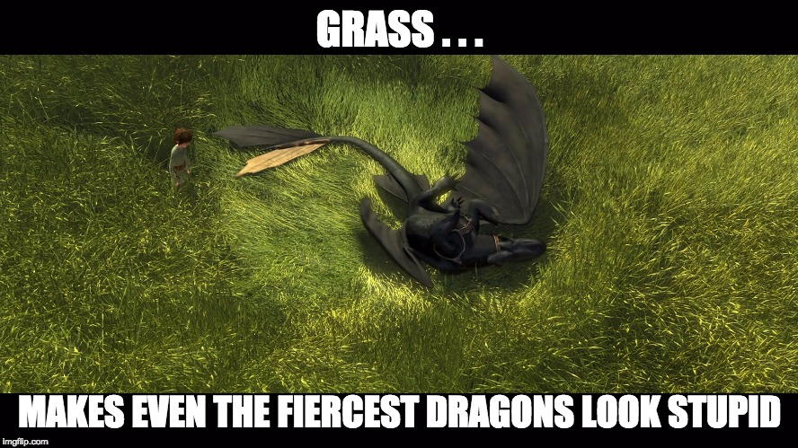 GRASS . . . MAKES EVEN THE FIERCEST DRAGONS LOOK STUPID | image tagged in toothless,how to train your dragon | made w/ Imgflip meme maker